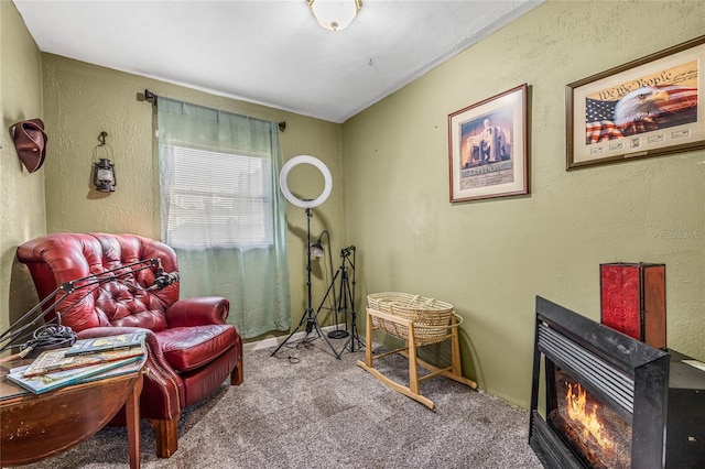 sitting room with light carpet