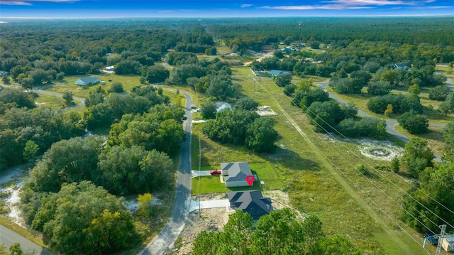 bird's eye view