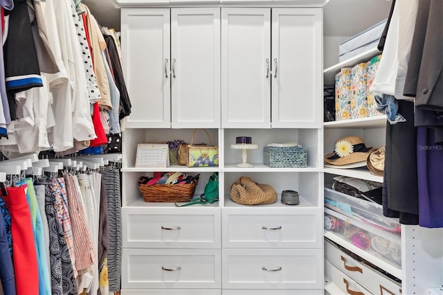 view of spacious closet