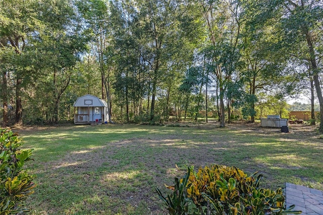 view of yard with a storage shed