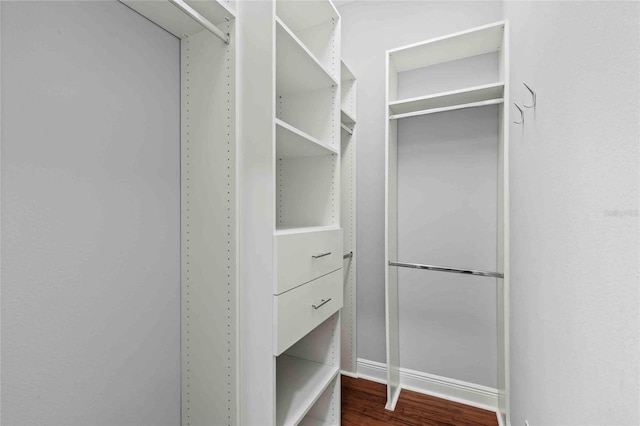 walk in closet featuring hardwood / wood-style floors