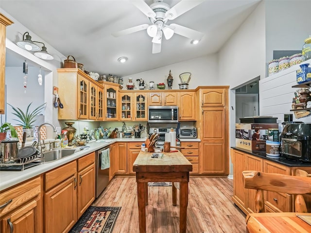 kitchen with lofted ceiling, sink, appliances with stainless steel finishes, and light hardwood / wood-style floors