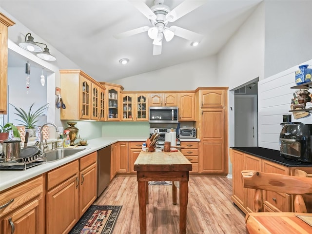 kitchen featuring light hardwood / wood-style flooring, stainless steel appliances, sink, and lofted ceiling