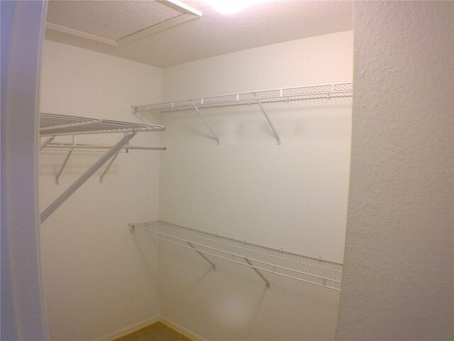 view of walk in closet