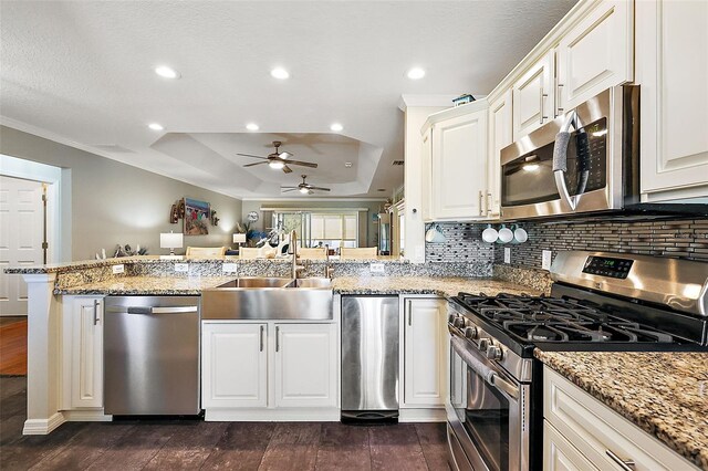 kitchen with dark wood-type flooring, appliances with stainless steel finishes, kitchen peninsula, and a raised ceiling