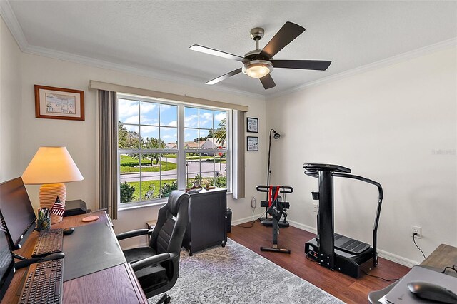 office with ceiling fan, ornamental molding, a textured ceiling, and dark hardwood / wood-style floors