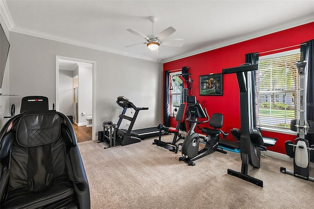 workout area with crown molding, carpet floors, and ceiling fan