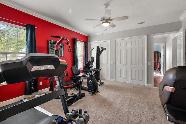 workout room with carpet, ceiling fan, and ornamental molding