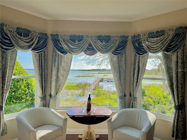 sitting room with a water view and a healthy amount of sunlight