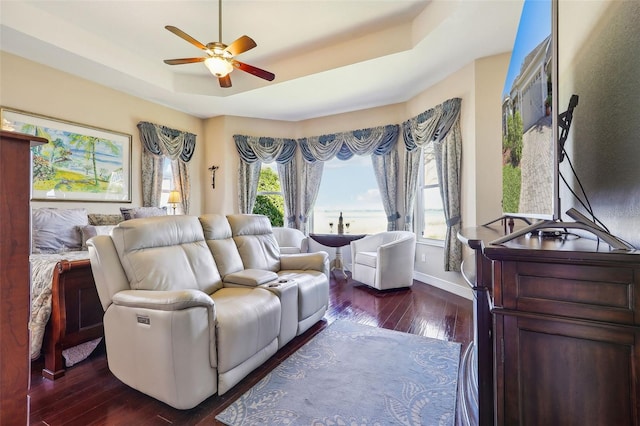 bedroom featuring multiple windows, dark wood-type flooring, a raised ceiling, and ceiling fan