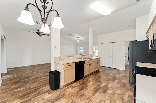 kitchen featuring ceiling fan with notable chandelier, sink, wood-type flooring, electric range, and black dishwasher