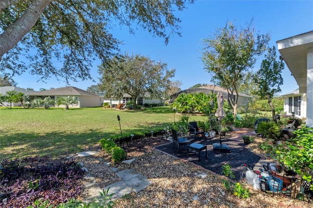 view of yard featuring a patio