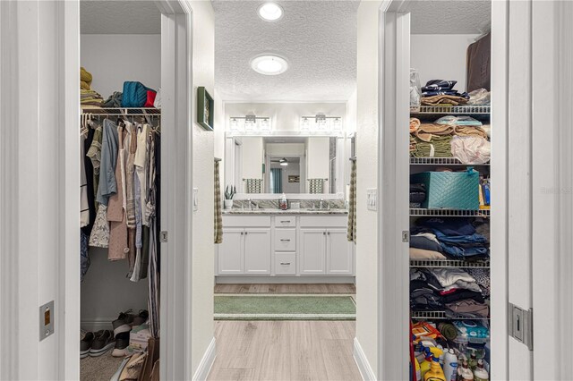 spacious closet with light hardwood / wood-style floors and sink