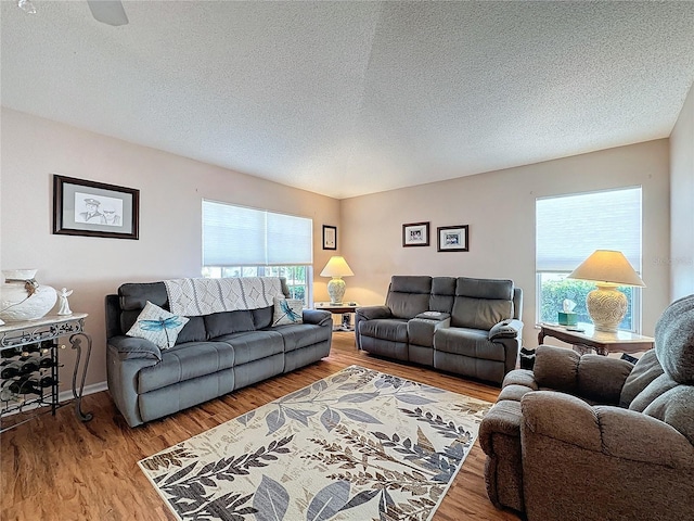 living room with hardwood / wood-style floors and a textured ceiling