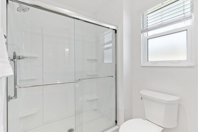 bathroom featuring a wealth of natural light, a shower with shower door, and toilet