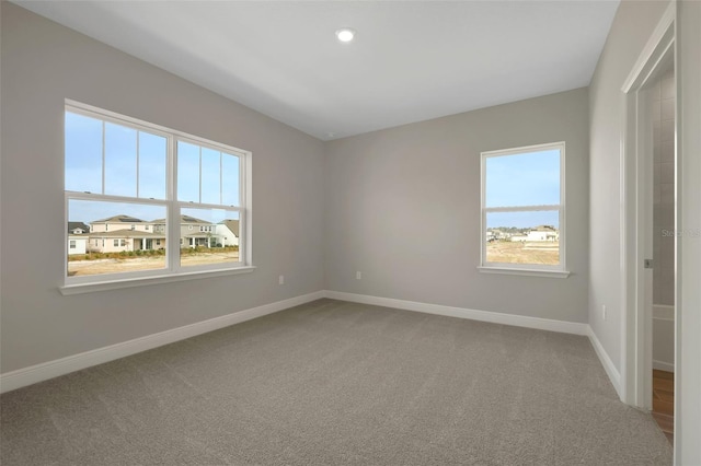 unfurnished bedroom featuring multiple windows and carpet flooring