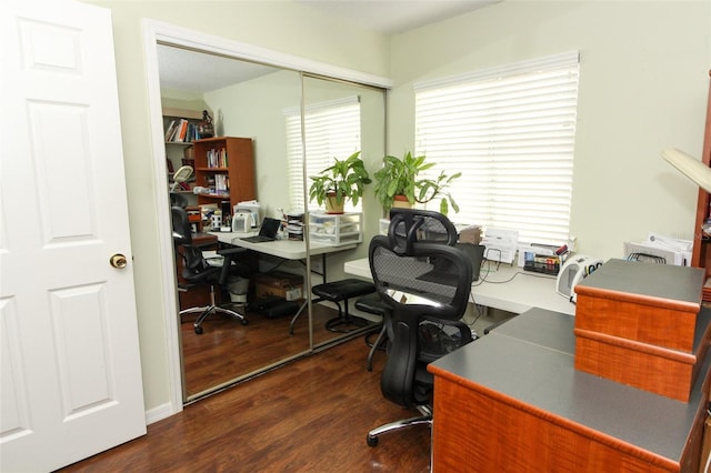 office space featuring dark hardwood / wood-style flooring