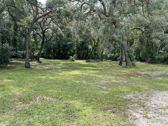 4817 Crk 686, Webster FL, 33597 land for sale