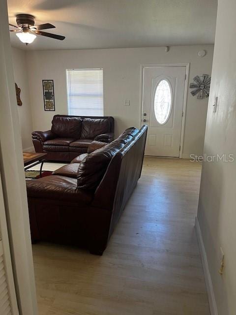 living room with ceiling fan, a wealth of natural light, and light wood-type flooring