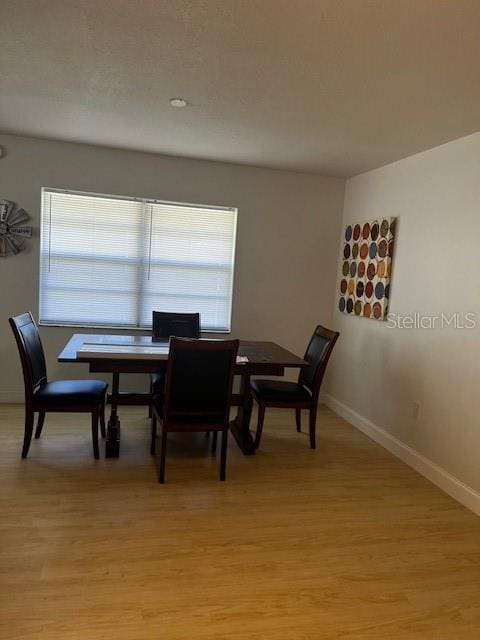 dining space featuring light hardwood / wood-style floors