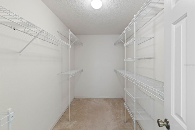 spacious closet featuring light colored carpet