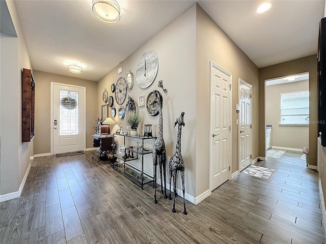 entrance foyer featuring hardwood / wood-style flooring