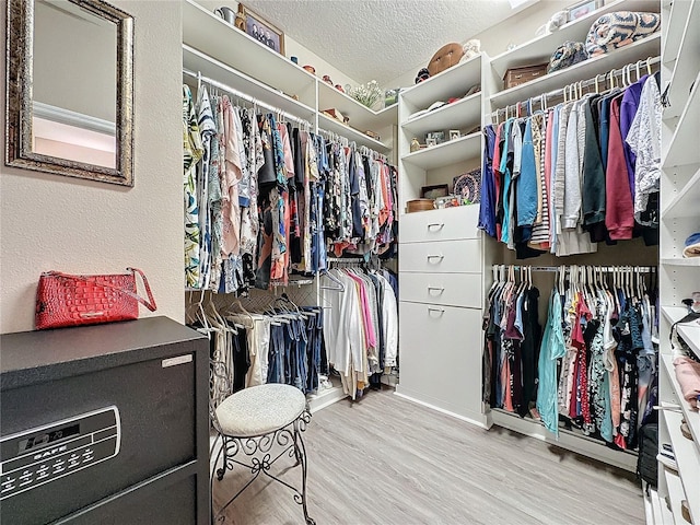 spacious closet with light wood-type flooring