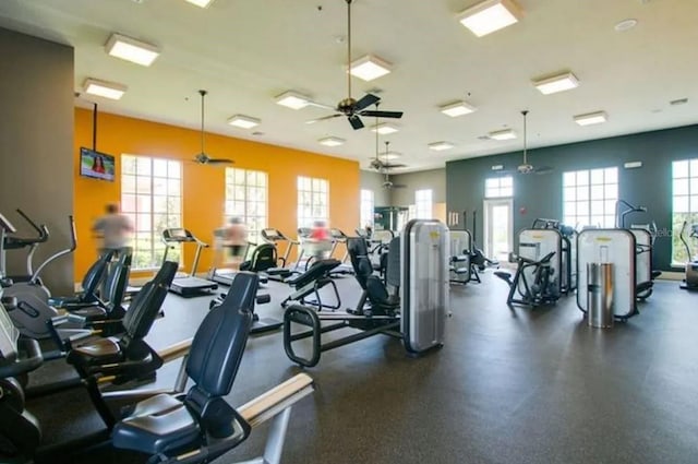 exercise room with ceiling fan and a healthy amount of sunlight