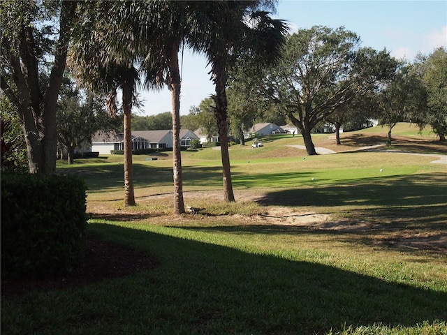 surrounding community featuring a yard