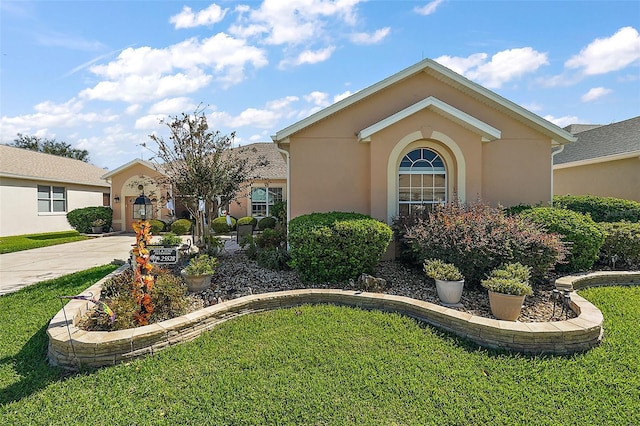 single story home featuring a front lawn