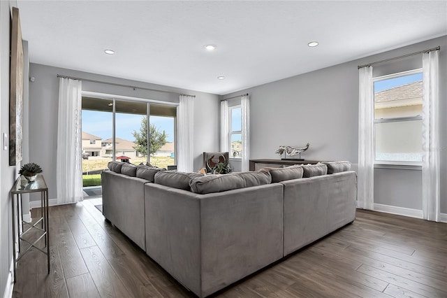 living room with dark hardwood / wood-style flooring