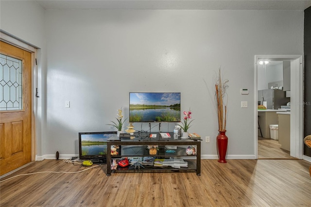 entrance foyer featuring wood-type flooring