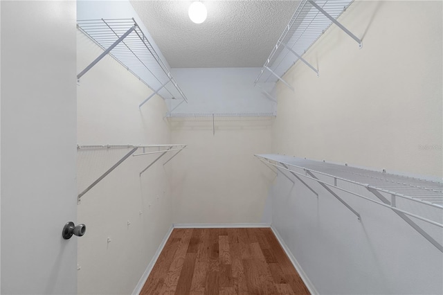 spacious closet with wood finished floors