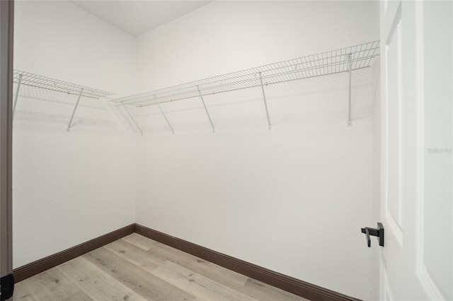 walk in closet featuring light wood finished floors