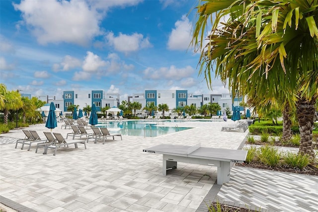 view of swimming pool with a patio