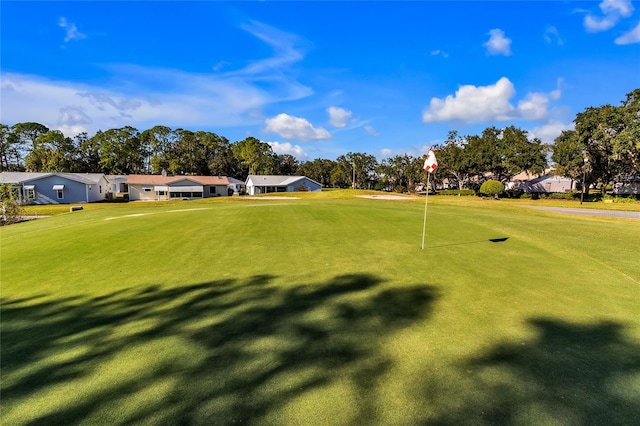 view of community with a lawn