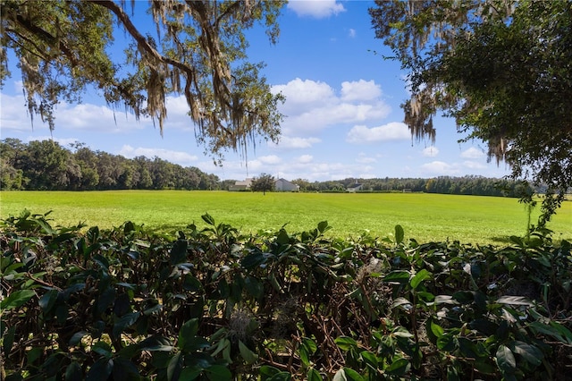 view of yard with a rural view