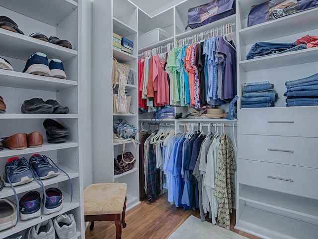 walk in closet with wood-type flooring