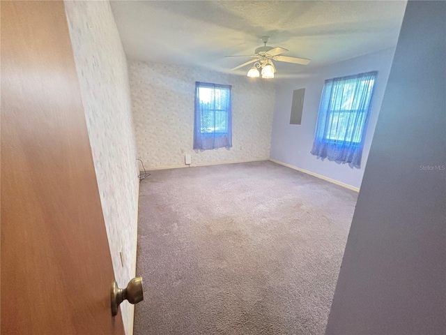 unfurnished room with ceiling fan and carpet