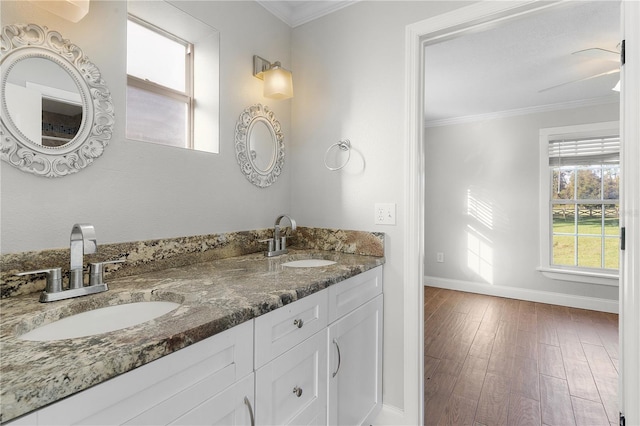 bathroom featuring vanity, hardwood / wood-style floors, and ornamental molding