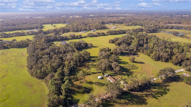 drone / aerial view featuring a rural view