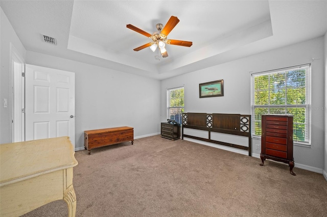 interior space featuring a tray ceiling, carpet, and ceiling fan