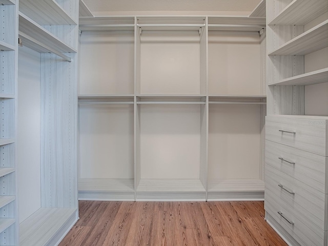 walk in closet featuring wood-type flooring