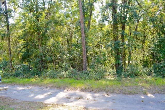 TBD NE 162nd Pl, Citra, FL 32113