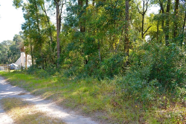TBD NE 162nd Pl, Citra, FL 32113