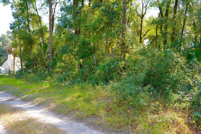 TBD NE 162nd Pl, Citra, FL 32113