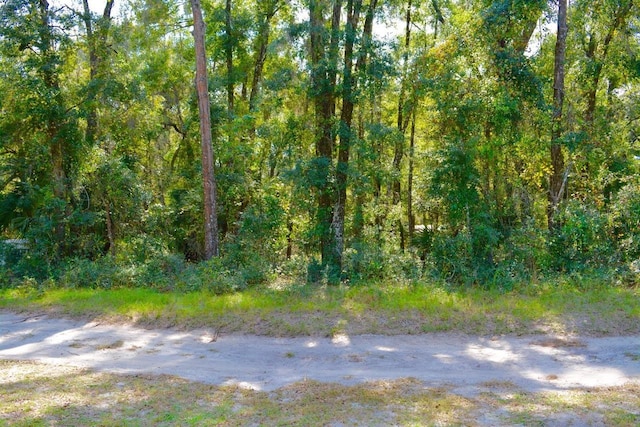 TBD NE 162nd Pl, Citra, FL 32113