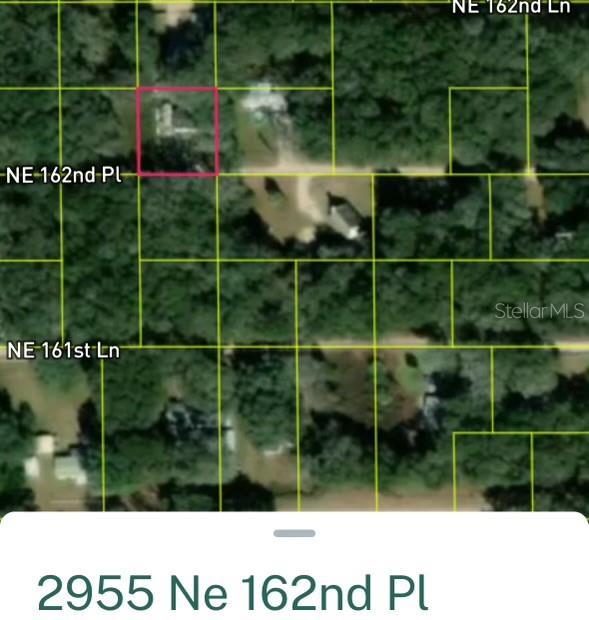 TBD NE 162nd Pl, Citra, FL 32113