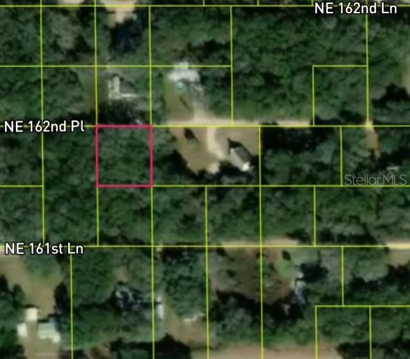 TBD NE 162nd Pl, Citra, FL 32113