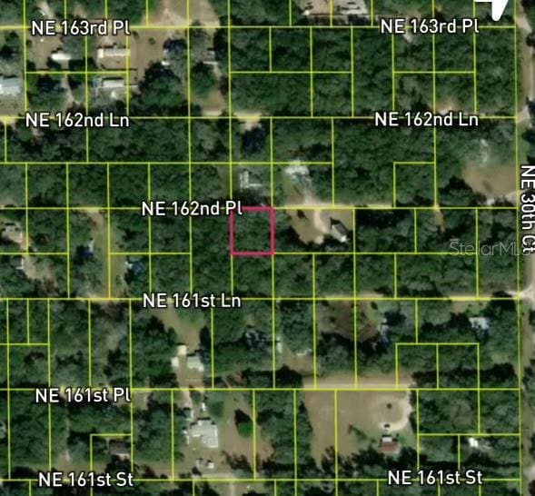 TBD NE 162nd Pl, Citra, FL 32113